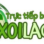 xoilacad2